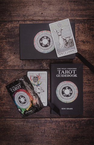 The Wild unknown Tarot Guidebook